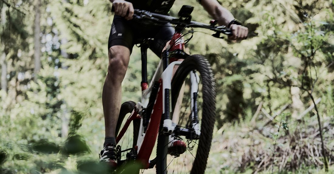 Teamportrait BKLAusgabe 1100x733