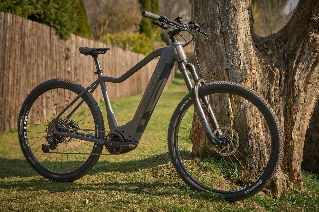 Mauna Loa Pendix Outdoor 1100