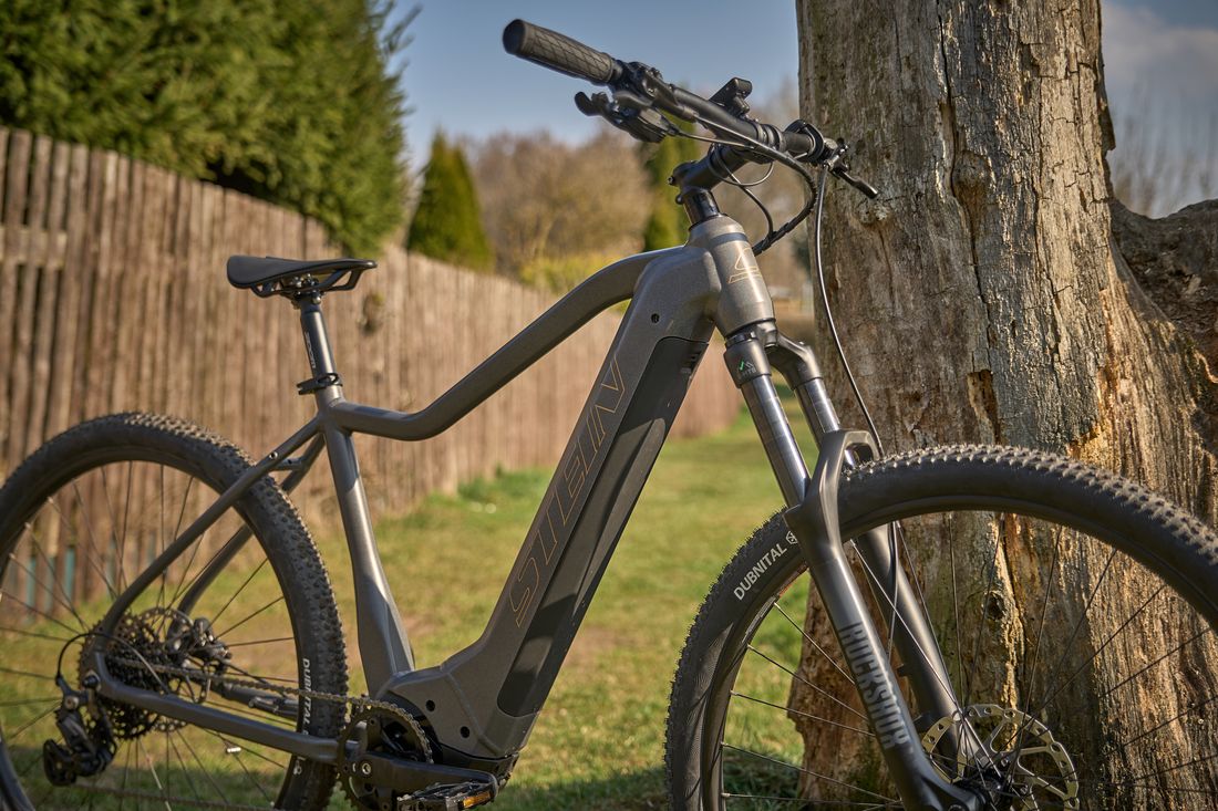 Mauna Loa Pendix Outdoor 2 1100