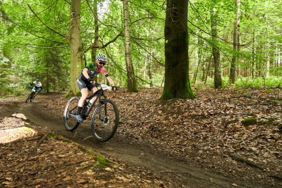 Heavy 24 2024 7 550x367 equal